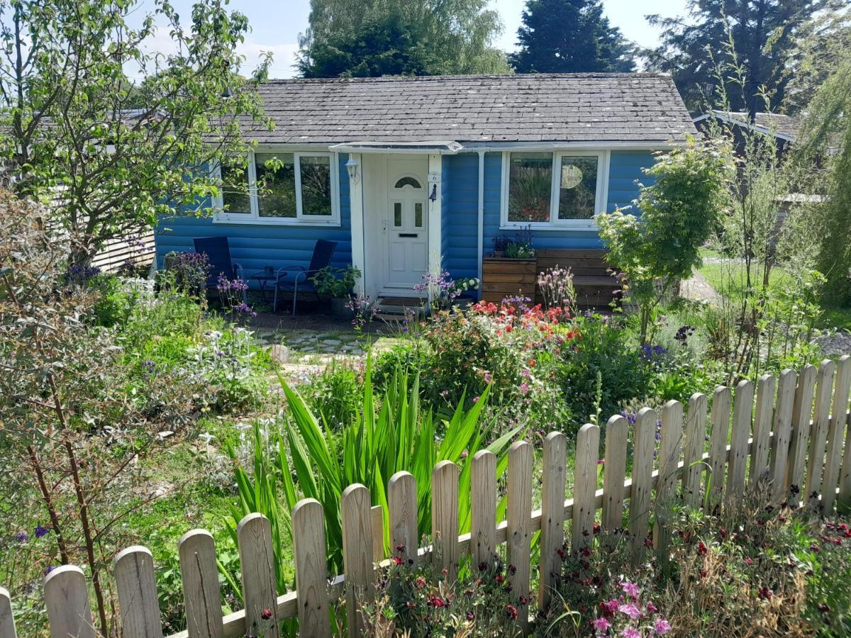 Charming Cabin Near Snowdonia National Park Caernarfon Buitenkant foto